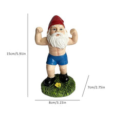 Load image into Gallery viewer, Weightlifting Gnome Statue - Garden Dwarf Ornament with Dumbbell Design, Creative Fitness Figurine | Resin Gnome Sculpture with Vivid Expression for Lawn, Backyard, Terrace, Indoor Home or Outdoor