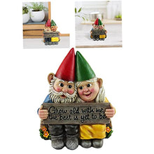 Load image into Gallery viewer, Couple Fairy Dwarf Couple Garden Gnome Ornament Hand-Painted Gnome Resin Garden Statue