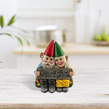 Load image into Gallery viewer, Couple Fairy Dwarf Couple Garden Gnome Ornament Hand-Painted Gnome Resin Garden Statue