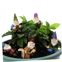 Load image into Gallery viewer, Toyvian 6Pcs Garden Gnome Statue Ornament Creative Resin Dwarf Figurines for Decoration Durable Outdoor Adornment Weather Resistant Courtyard Decor