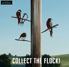 Load image into Gallery viewer, METALBIRD - Harris Hawk - Outdoor Garden Ornaments in Corten Steel - Metal Art Proudly Made in Britain