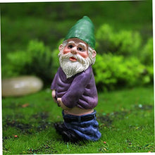 Load image into Gallery viewer, CIYODO Resin Dwarf Doll Garden Gnome Small Garden Ornaments Outdoor Decorations