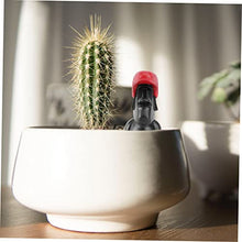 Load image into Gallery viewer, CIYODO Miniature Garden Decoration Micro Landscape Gardening Ornaments Action Figure Doll Toy