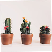 Load image into Gallery viewer, Hemobllo Miniature Hairdressing Ornaments Micro Landscape Decoration for Doll Potted Plant Miniature Garden Decoration Material Unique Gardening