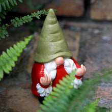 Load image into Gallery viewer, Middle Finger Female Gnome Statue 7.8in, Naughty Garden Gnome Statue Decoration and Lawn Ornament - Funny Garden Gnomes for Outdoor or Home Decor