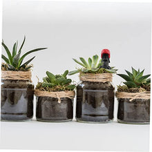 Load image into Gallery viewer, MERRYHAPY 1pc Micro Landscape Decoration Gardening Floral Miniature Model Action Figure Doll Toy