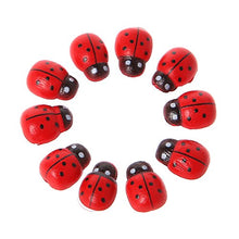 Load image into Gallery viewer, Klaisy 10Pcs Ladybird Red Fy For House Garden Decor Ornament