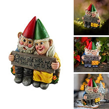 Load image into Gallery viewer, Couple Fairy Dwarf Couple Garden Gnome Ornament Hand-Painted Gnome Resin Garden Statue