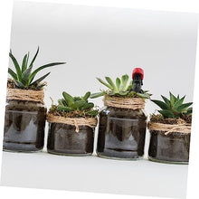 Load image into Gallery viewer, CIYODO Miniature Garden Decoration Micro Landscape Gardening Ornaments Action Figure Doll Toy