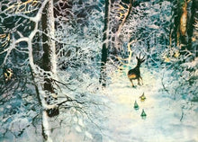 Load image into Gallery viewer, Secrets of the Gnomes