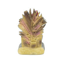 Load image into Gallery viewer, EraSpooky 6" Resin Gnomes Statues Outdoor Decor, Novelty Sculptures Yard Decorations Patio Lawn Ornament, Funny Holidays Garden Gifts