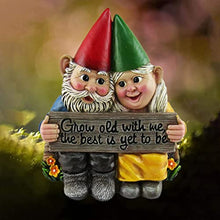 Load image into Gallery viewer, Couple Fairy Dwarf Couple Garden Gnome Ornament Hand-Painted Gnome Resin Garden Statue