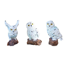 Load image into Gallery viewer, 5 Pieces Owls Fairy Garden Miniature Ornaments Mini Animals Resin Figurines for Moss Landscape Bonsai Crafts Home Decor
