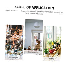 Load image into Gallery viewer, CIYODO Miniature Garden Decoration Micro Landscape Gardening Ornaments Action Figure Doll Toy