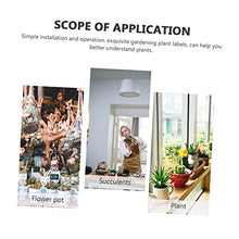 Load image into Gallery viewer, Yardwe 2 Pcs Succulent Landscaping Doll Toys Gnomes Fairy Garden Kit Mini Ornaments Miniatures Miniature Ornaments Decoration Action Figure Doll Toy Miniature Model Red