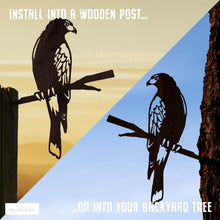 Load image into Gallery viewer, METALBIRD - Harris Hawk - Outdoor Garden Ornaments in Corten Steel - Metal Art Proudly Made in Britain