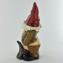 Load image into Gallery viewer, Gnome- Having a Widdle Fantasy Figure Home Decor Garden Ornament Joke Present Novelty Gift Comical H18.5cm