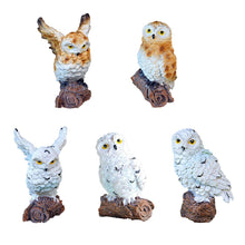 Load image into Gallery viewer, 5 Pieces Owls Fairy Garden Miniature Ornaments Mini Animals Resin Figurines for Moss Landscape Bonsai Crafts Home Decor