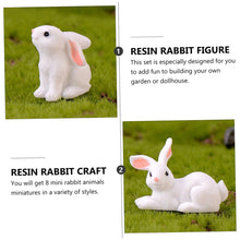 Load image into Gallery viewer, Ciieeo 3sets Mini Rabbit Resin Animal Ornaments for Diy Garden Gnome Landscape Decorations 8pcs*3