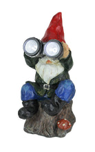 Load image into Gallery viewer, Forest Bird Watcher Garden Gnome Solar Eyes Solar LED Accent Light Sculpture