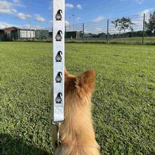 Load image into Gallery viewer, 'Gonk Gnome' Dog Lead/Leash (DL00021997)