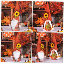 Load image into Gallery viewer, ULTECHNOVO 2pcs Thanksgiving Gnome Doll Decor Plush Gnomes for Garden Ornament Thanksgiving Day Adornment