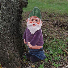 Load image into Gallery viewer, REOVE 4pcs Gnomes Statue Miniature Garden Decoration Ornament Fairy Garden Accessories Collectible Outdoor Micro Landscape Decoration Set Gnome-Drunk Gnome Kit for Gift House Yard Lawn Patio