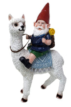 Load image into Gallery viewer, Funny Guy Mugs Gnome and a Llama Statue- Indoor/Outdoor Garden Gnome Sculpture for Patio, Yard or Lawn