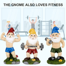 Load image into Gallery viewer, Funny Workout Garden Gnomes Statues, 3pcs 15.5cm Outdoor Funny The Muscular, Barbell and Dumbbell Gnomes Decorations Set for Yard, Lawn, Patio (Workout Gnomes Set)