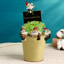 Load image into Gallery viewer, TIANCENTRAL H Garden Gnome Statues Flower Pot and Vase Hugger Resin Climbing Clingers Hangers -Set of 4 Edge Pendant Decor Planter Pot Hanger Ornaments