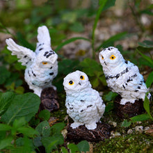 Load image into Gallery viewer, 5 Pieces Owls Fairy Garden Miniature Ornaments Mini Animals Resin Figurines for Moss Landscape Bonsai Crafts Home Decor