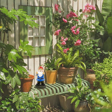 Load image into Gallery viewer, Garden Gnomes Funny Garden Ornaments Outdoor - Rude Garden Gnomes Middle Finger Gifts - Gnomes Garden's Ornaments Outdoor or Indoor