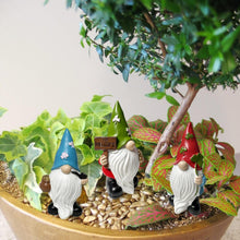 Load image into Gallery viewer, TIANCENTRAL H Garden Gnomes with Holding Welcome Sign Small Garden Gnome Outdoor Funny Figurines Garden Decor for Outside Patio Yard Lawn 3PCS