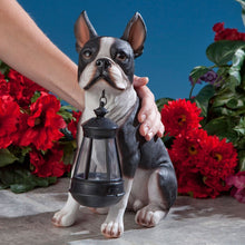 Load image into Gallery viewer, Bits and Pieces - Boston Terrier Solar Lantern Statue - Yard Decorations - Solar Powered Garden Lantern - Resin Dog Sculpture - Outdoor LED Lighting