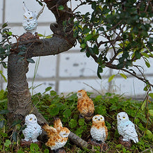 Load image into Gallery viewer, 5 Pieces Owls Fairy Garden Miniature Ornaments Mini Animals Resin Figurines for Moss Landscape Bonsai Crafts Home Decor