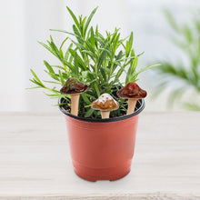 Load image into Gallery viewer, Peohud 12 Pack Ceramic Garden Mushrooms, Fairy Garden Decorations Ornaments Outdoor, Lawn Ornament Decor Ceramic Mushrooms for DIY Shed Flowerpot Plants Statue, 4.7 Inch