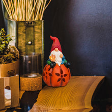 Load image into Gallery viewer, WONDHOME Solar Pumpkin Gnome Garden Statues Outdoor Gnome with LED Lights Decorations for Yard Patio Lawn Porch Mother's Day Halloween Thanksgiving Housewarming Christmas Gardening Gifts for Mom Women