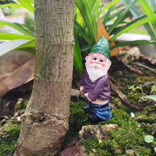 Load image into Gallery viewer, MUAMAX Miniature Garden Gnomes Fairy Garden Gnome Figurines Small Fairy Gardens Accessories Funny Campfire Gnomes Set of 3