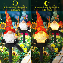 Load image into Gallery viewer, Rossesay - Set of 2 Solar Gnome Lights, Outdoor Pathway Decor, Decorative Stakes for Garden, Home, LED Landscape Lighting for Lawn, Walkway, Yard,