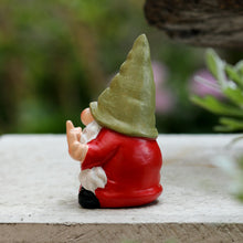 Load image into Gallery viewer, Middle Finger Female Gnome Mini 3.5in,Double Bird Gnome - Naughty Funny Outdoor Decoration for Yard Patio Lawn Ornament and Home Decor,Fairy Garden