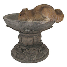Load image into Gallery viewer, Design Toscano Hunter, the Woodland Squirrel Statue