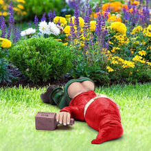 Load image into Gallery viewer, Funny Resin Gnome Statues, Outdoor Naughty Gnomes - Garden Decor, Crafts & Gift