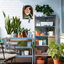 Load image into Gallery viewer, DHOBY GHAUT Elf Out of Door Tree Hugger 12-inch, Gnome Statue Tree Face Garden Decoration for Yard, Patio, Gnome Outdoor Clearance Large Ornaments, Garden Peeker Yard Art