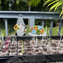 Load image into Gallery viewer, Memeyou Gnome Key Hider Outdoor Garden Statue - Grey Gnome Figurine Decor - Hide A Key Outside - Lock Box