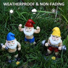 Load image into Gallery viewer, Mrsivrop Funny Workout Garden Gnomes Statues 3pcs 6.2 Inches Outdoor Funny The Muscular, Barbell and Dumbbell Gnomes Decorations Set for Yard, Lawn, Patio, Indoor Gnome Figurine for Home Tabletop