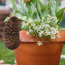 Load image into Gallery viewer, Happyyami Garden Gnome Statue Hedgehog Flower Pot Decor Outdoor Animal Sculpture Resin Garden Ornament