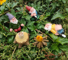Load image into Gallery viewer, YARCHONN Miniature Garden Gnomes Ornament Outdoor, Resin Elf Statue, Funny Gnome Fairy Garden Accessories for Patio, Yard, Lawn or Home Garden Decorations, (6PK Drunking Theme)