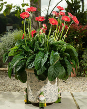 Load image into Gallery viewer, Potty Feet Gnome with Watering Can Figures Plant Pot Feet - Planter Support - Handmade Decorative Ornaments - 3pcs