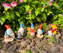 Load image into Gallery viewer, Cliocoo 5pcs Gnome Miniature Set for Fairy Garden, Lovely Resin Dwarf Figurines Kit for Garden Yard Patio Outdoor Home Decoration (Gnome Set-2)