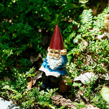 Load image into Gallery viewer, Garden Gnome Statue In Reading Book Gnomes Dwarfs 9.5 Ih, Polyresin, Full Color Funny Lawn Ornaments and Statues